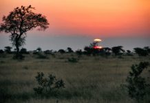 SA tourism industry ready to welcome back international travellers
